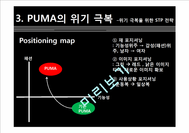푸마 PUMA 위기극복위한 마케팅전략 분석및 푸마 소비자행동분석   (10 )